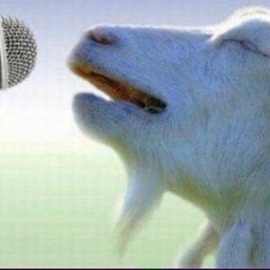 Meet your Posher, Fernando